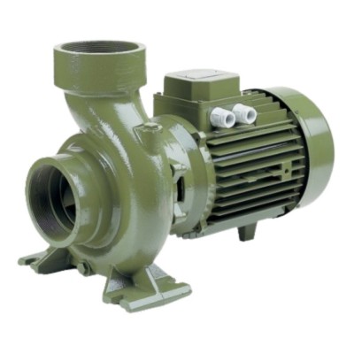 Ééntraps centrifugaal waterpompen SAER - BP3 voor tuinen en meer - Waterpompen